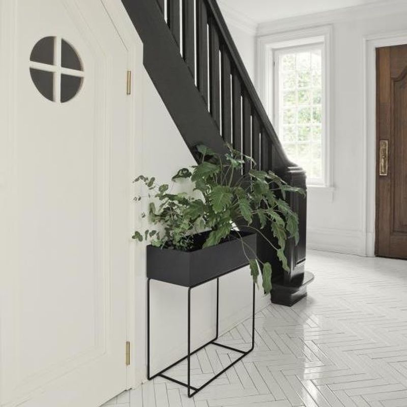 Plant Box