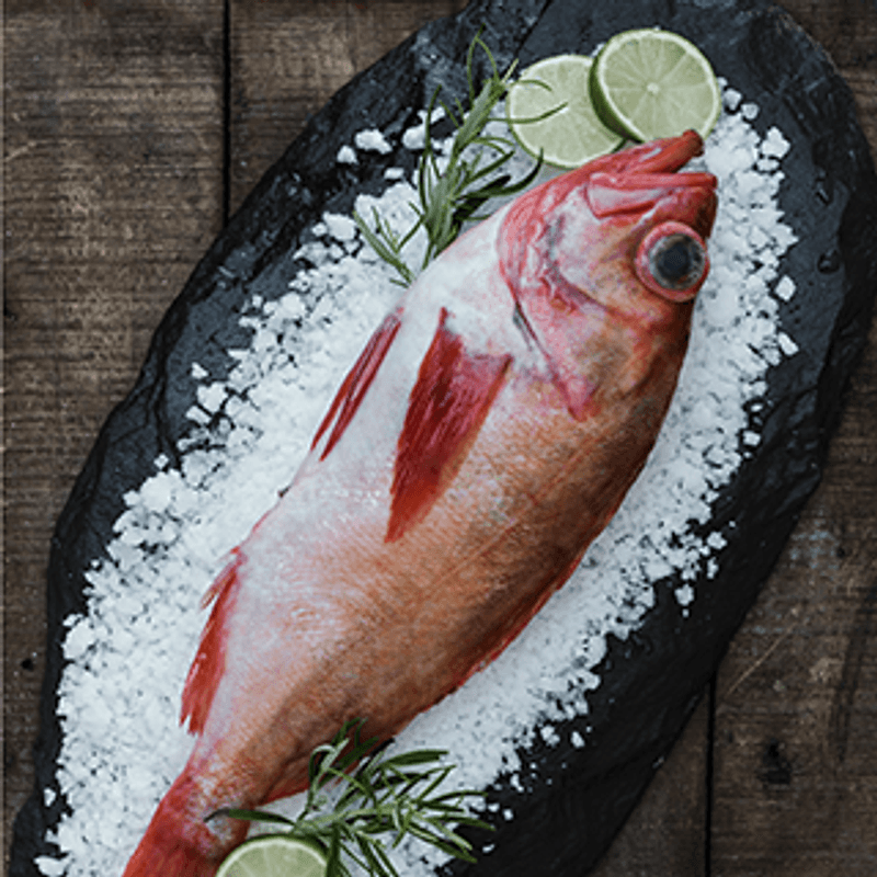 Arctic Salt Gourmet 120 gr