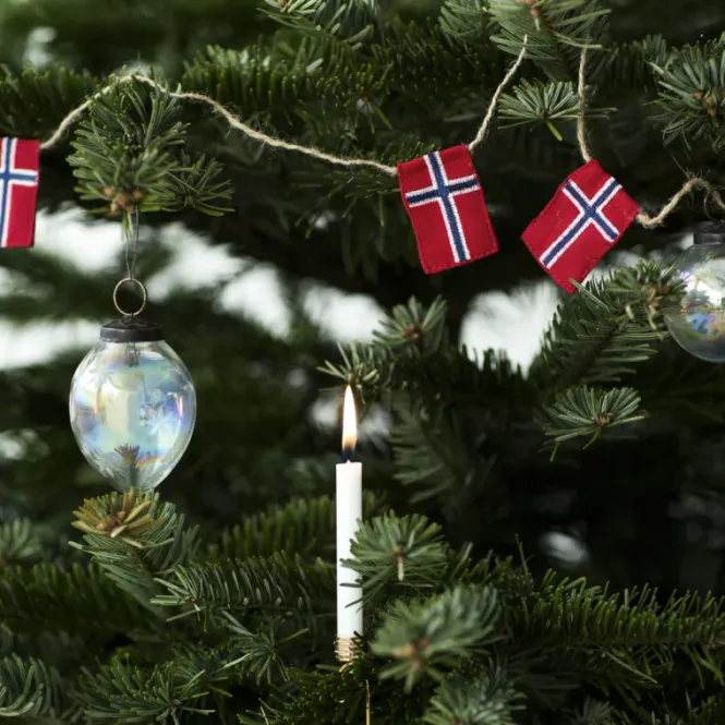 Hovedbilde Lille Flaggranke Langkilde & Søn