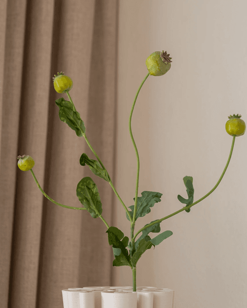 Hovedbilde Poppy Pod