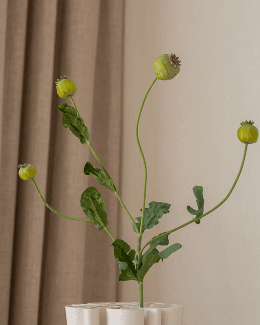 Hovedbilde Poppy Pod