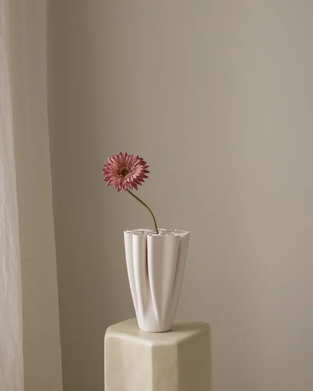 Gerbera Pink