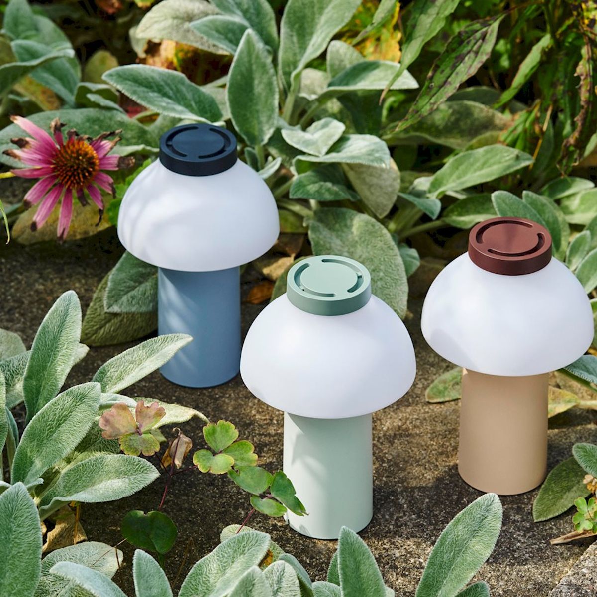 PC Portable Lamp
