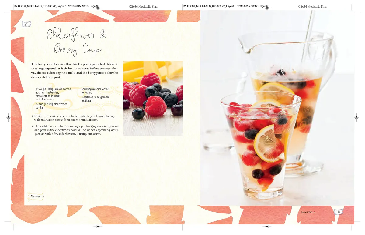 Mocktails - Cordials, Syrups, Infusions and more