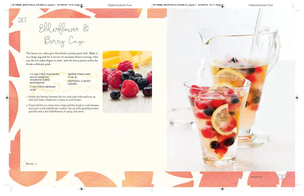 Hovedbilde Mocktails - Cordials, Syrups, Infusions and more