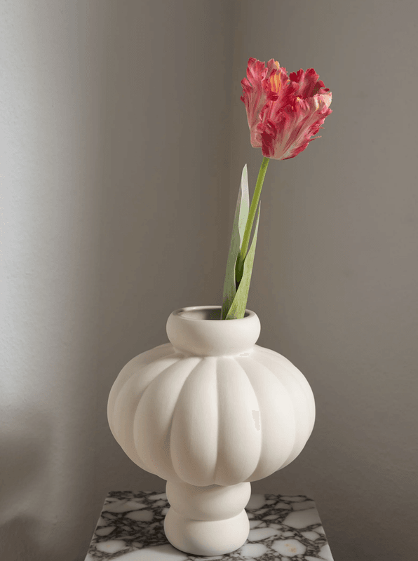 Parrot Tulip Flower