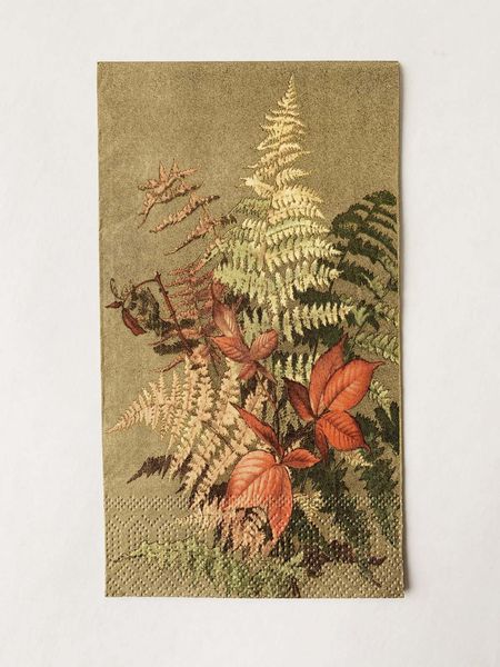 Hovedbilde Serviett Buffet - Bregne