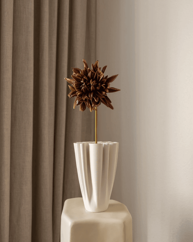 Cactus Dahlia Flower