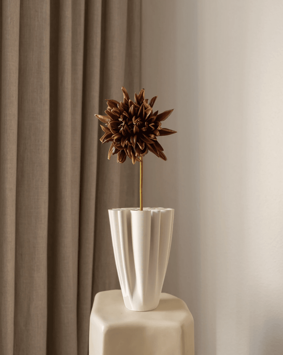 Cactus Dahlia Flower