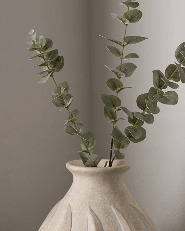 Eucalyptus