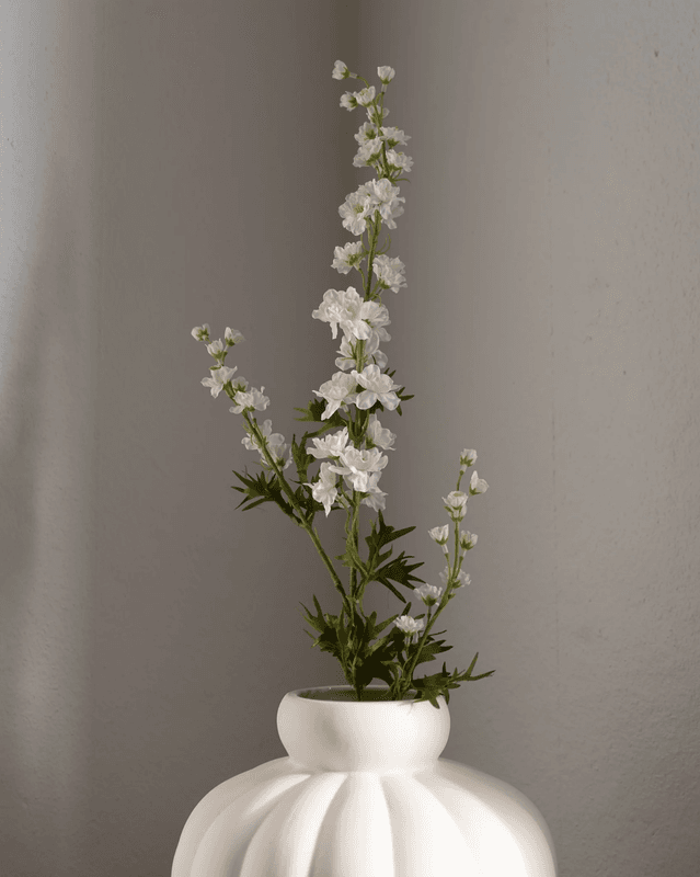 Delphinium Flower Long