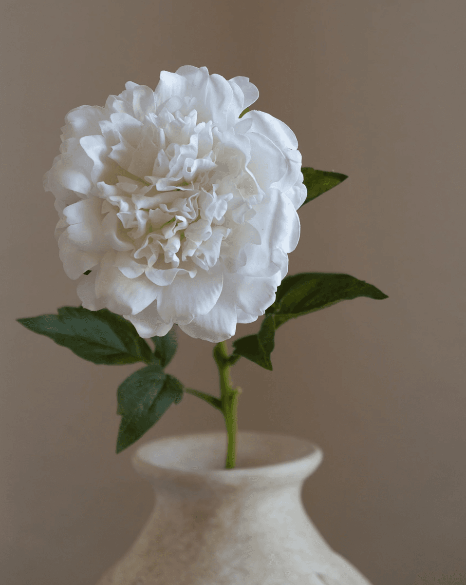 Peony Flower