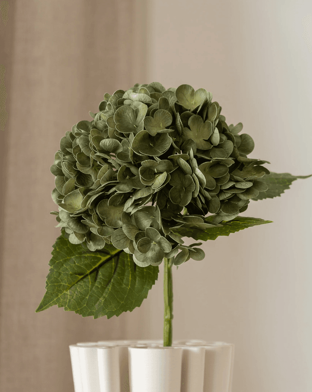 Hydrangea Flower