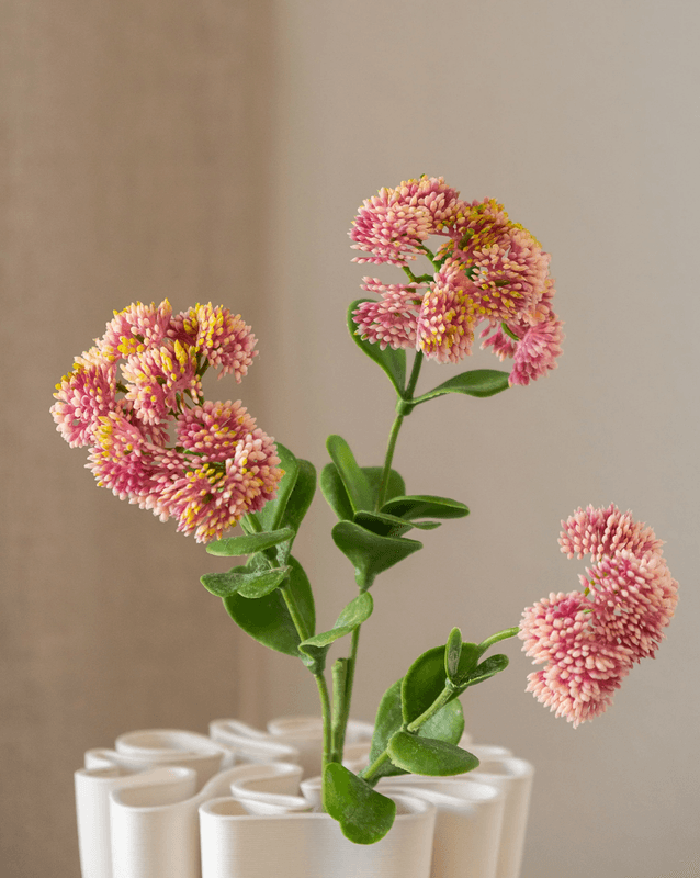 Sedum Spray