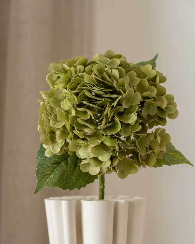 Hydrangea Flower