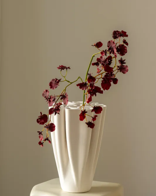 Hovedbilde Dancing Lady Orchid Burgundy